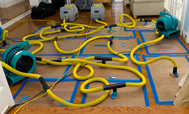 Professional Sewage Cleanup technician working in Grafton, IL